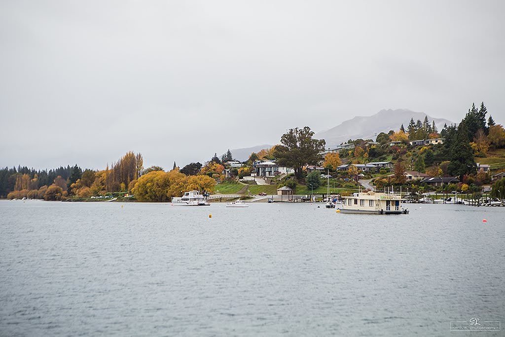 紐西蘭 | 瓦納卡 Wanaka | 漫步湖岸秋季之景 Lake Wanaka