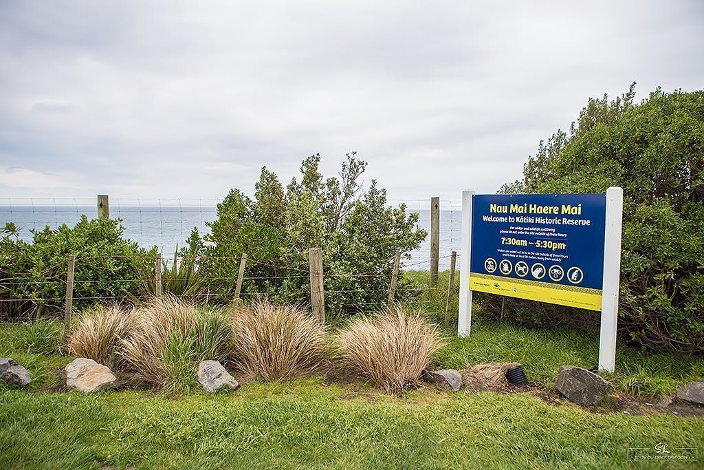 紐西蘭 | 卡提奇燈塔 Katiki Point Lighthouse | 遇見可愛的野生海獅