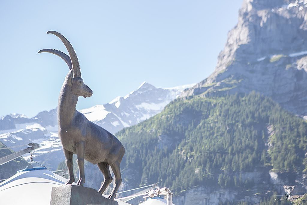 瑞士．格林德瓦 Grindelwald | 走上菲斯特 First 懸崖步道，前往寧靜的巴克普湖