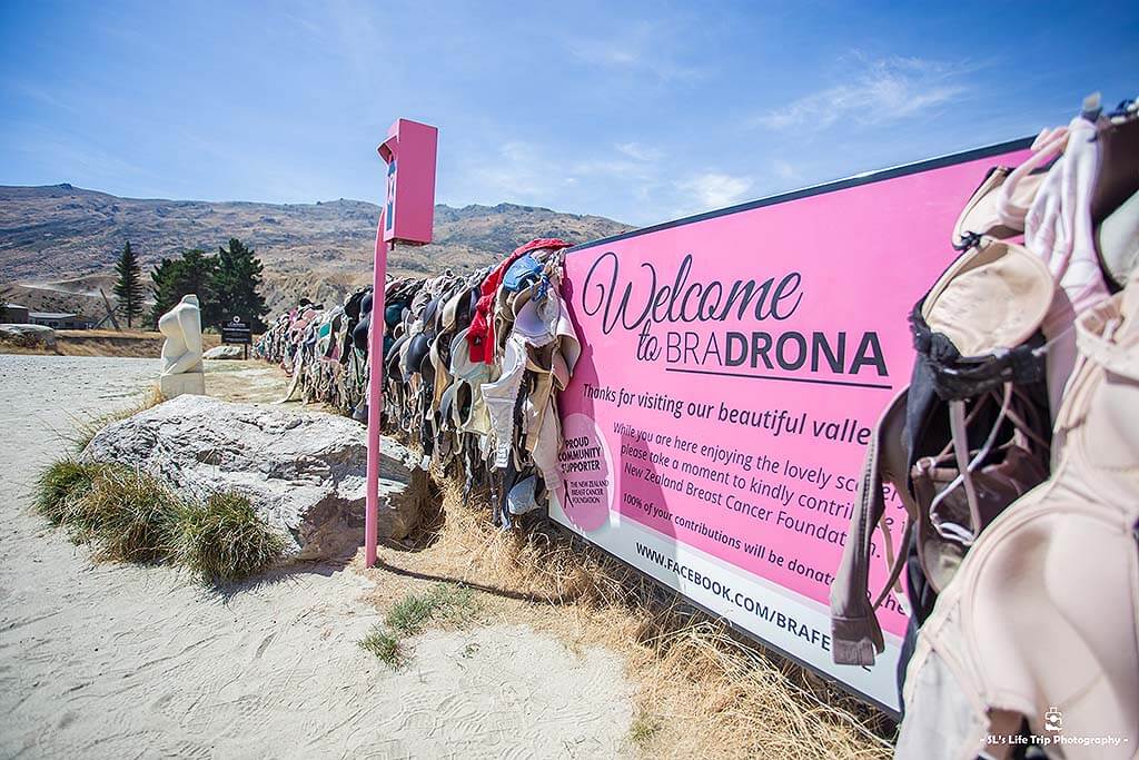 紐西蘭 | 卡德羅納 Cardrona | 旅人們瘋迷打卡的內衣圍牆 Cardrona Bra Fence / Bradrona