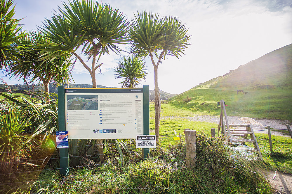 紐西蘭 | 塔斯曼 Tasman | 走進 Windows 10 的桌布之中 | 沃拉里基海灘 Wharariki Beach